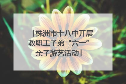 株洲市十八中开展教职工子弟“六一”亲子游艺活动