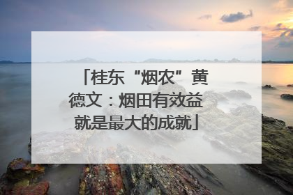 桂东“烟农”黄德文：烟田有效益就是最大的成就