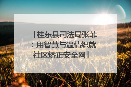 桂东县司法局张菲：用智慧与温情织就社区矫正安全网