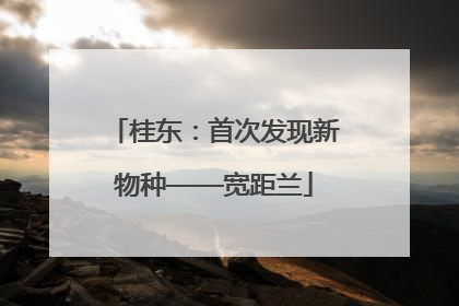 桂东：首次发现新物种——宽距兰