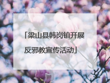 梁山县韩岗镇开展反邪教宣传活动