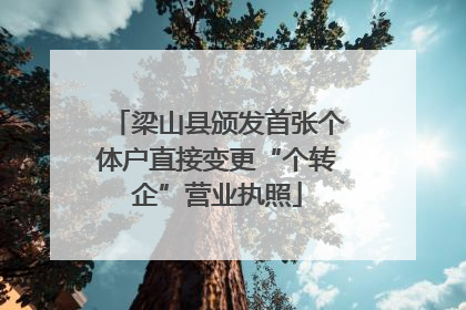 梁山县颁发首张个体户直接变更“个转企”营业执照