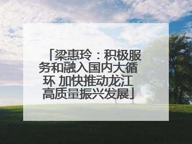 梁惠玲：积极服务和融入国内大循环 加快推动龙江高质量振兴发展