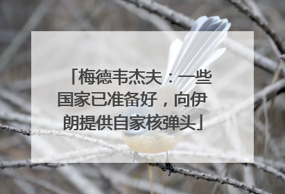 梅德韦杰夫：一些国家已准备好，向伊朗提供自家核弹头