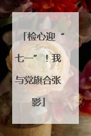 检心迎“七一”！我与党旗合张影