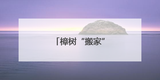 樟树“搬家”，邻里和好