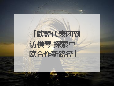 欧盟代表团到访横琴 探索中欧合作新路径