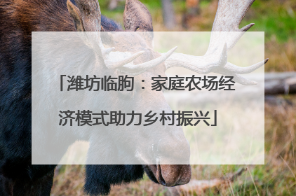 潍坊临朐：家庭农场经济模式助力乡村振兴