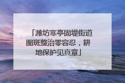 潍坊寒亭固堤街道图斑整治零容忍，耕地保护见真章