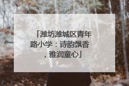 潍坊潍城区青年路小学：诗韵飘香，雅润童心