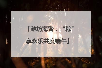 潍坊海警：“粽”享欢乐共度端午