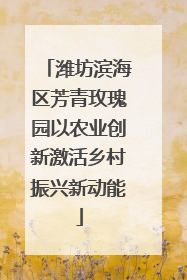 潍坊滨海区芳青玫瑰园以农业创新激活乡村振兴新动能
