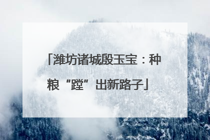潍坊诸城殷玉宝：种粮“蹚”出新路子
