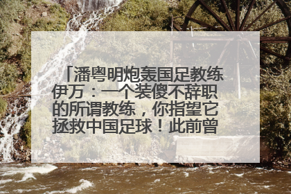 潘粤明炮轰国足教练伊万：一个装傻不辞职的所谓教练，你指望它拯救中国足球！此前曾多次发文评价国足