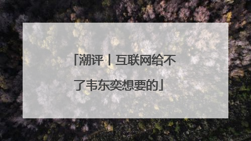 潮评丨互联网给不了韦东奕想要的