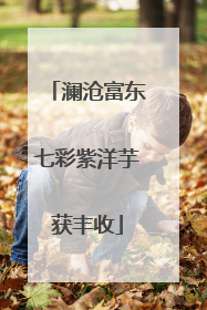 澜沧富东七彩紫洋芋获丰收
