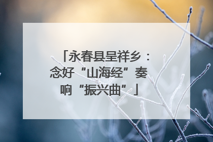 永春县呈祥乡：念好“山海经”奏响“振兴曲”