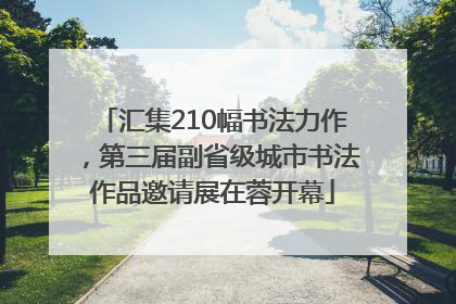 汇集210幅书法力作，第三届副省级城市书法作品邀请展在蓉开幕