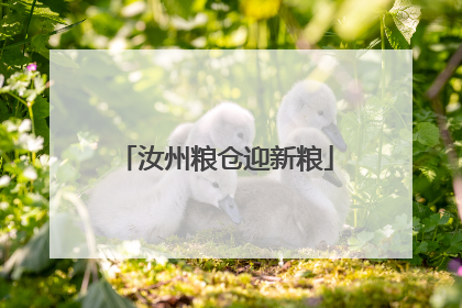 汝州粮仓迎新粮