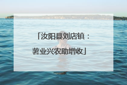 汝阳县刘店镇：薯业兴农助增收
