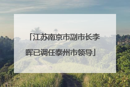 江苏南京市副市长李晖已调任泰州市领导