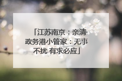 江苏南京：亲清·政务港小管家：无事不扰 有求必应