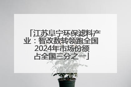 江苏阜宁环保滤料产业：智改数转领跑全国 2024年市场份额占全国三分之一