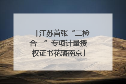 江苏首张“二检合一”专项计量授权证书花落南京