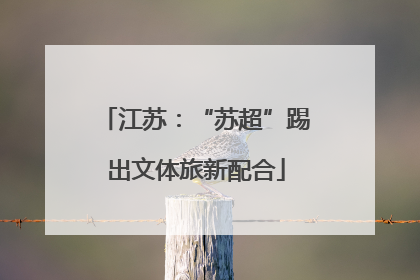 江苏：“苏超”踢出文体旅新配合