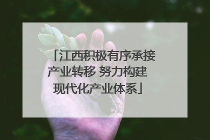江西积极有序承接产业转移 努力构建现代化产业体系