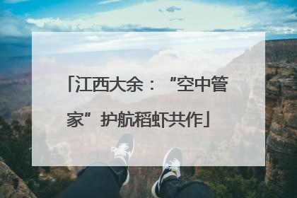 江西大余：“空中管家”护航稻虾共作