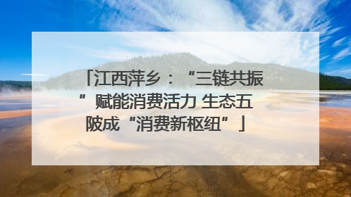 江西萍乡：“三链共振”赋能消费活力 生态五陂成“消费新枢纽”