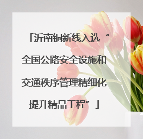 沂南铜新线入选“全国公路安全设施和交通秩序管理精细化提升精品工程”