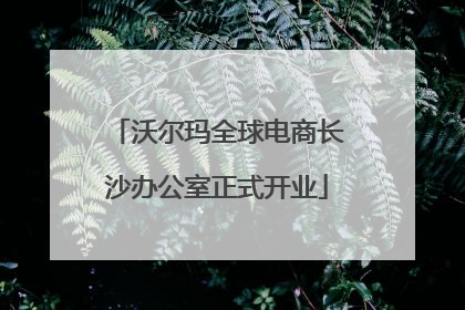 沃尔玛全球电商长沙办公室正式开业