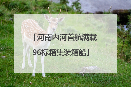 河南内河首航满载96标箱集装箱船