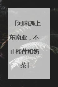 河南遇上东南亚，不止榴莲和奶茶