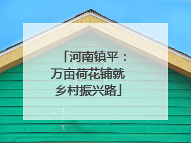 河南镇平：万亩荷花铺就乡村振兴路