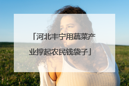 河北丰宁用蔬菜产业撑起农民钱袋子