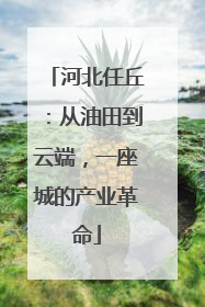 河北任丘：从油田到云端，一座城的产业革命