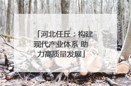 河北任丘：构建现代产业体系 助力高质量发展