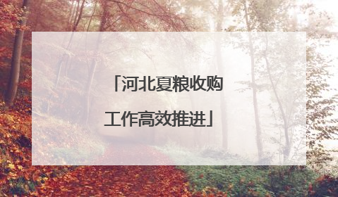 河北夏粮收购工作高效推进