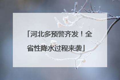 河北多预警齐发！全省性降水过程来袭