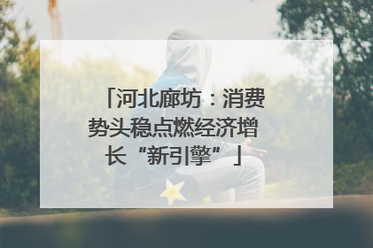 河北廊坊：消费势头稳点燃经济增长“新引擎”