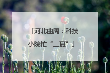 河北曲周：科技小院忙“三夏”