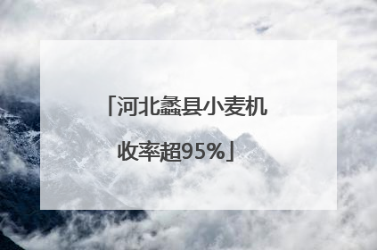 河北蠡县小麦机收率超95%