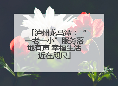 泸州龙马潭：“一老一小”服务落地有声 幸福生活近在咫尺