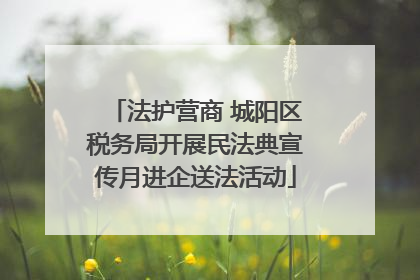 法护营商 城阳区税务局开展民法典宣传月进企送法活动