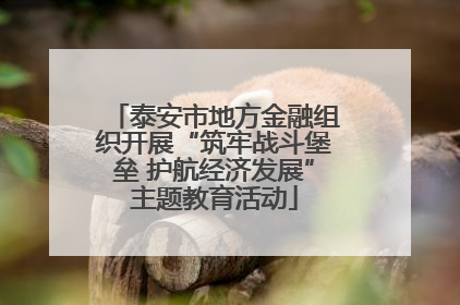 泰安市地方金融组织开展“筑牢战斗堡垒 护航经济发展”主题教育活动