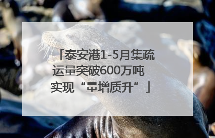 泰安港1-5月集疏运量突破600万吨 实现“量增质升”