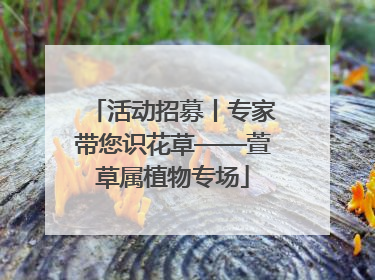 活动招募丨专家带您识花草——萱草属植物专场